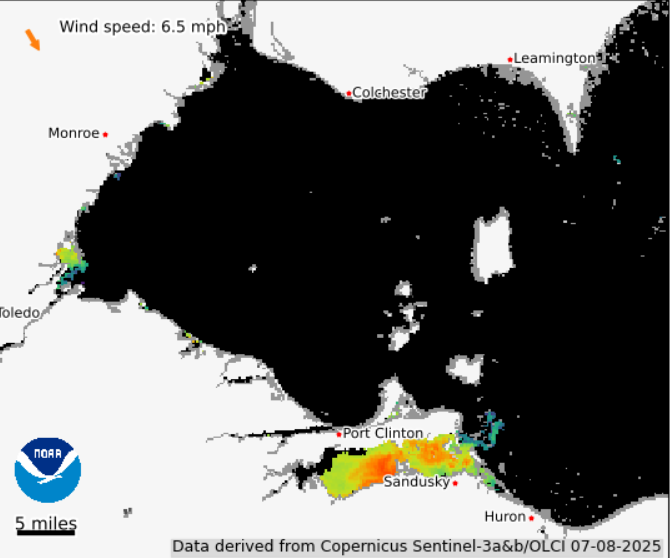 Lake Erie Algae